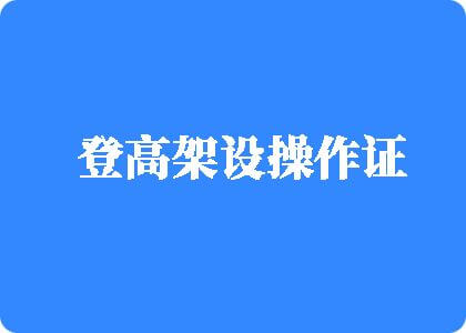 艹b免费在线观看登高架设操作证